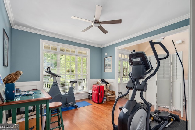 workout area with crown molding, a ceiling fan, wainscoting, and wood finished floors