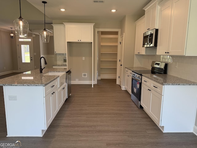 788 Traveler Ln, Williamson, GA 30292 - kitchen featuring baseboards, appliances with stainless steel finishes, dark wood-style floors, and a sink