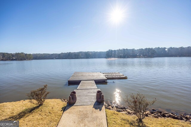 dock area with a water view