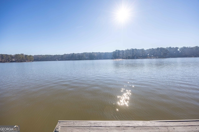 302 Odom Dr, Hamilton, GA 31811 - water view