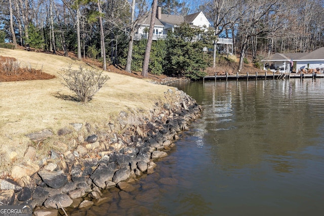 302 Odom Dr, Hamilton, GA 31811 - water view