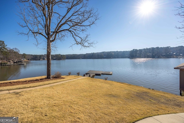 dock area with a yard and a water view
