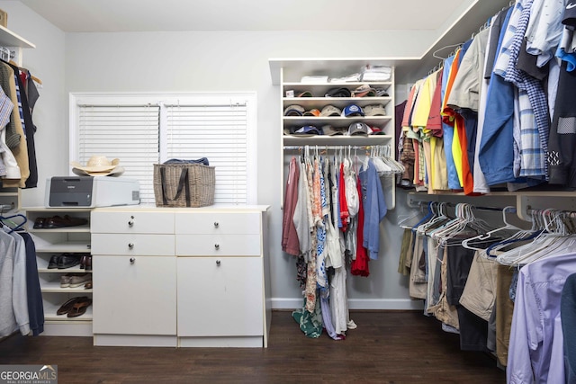302 Odom Dr, Hamilton, GA 31811 - walk in closet featuring wood finished floors