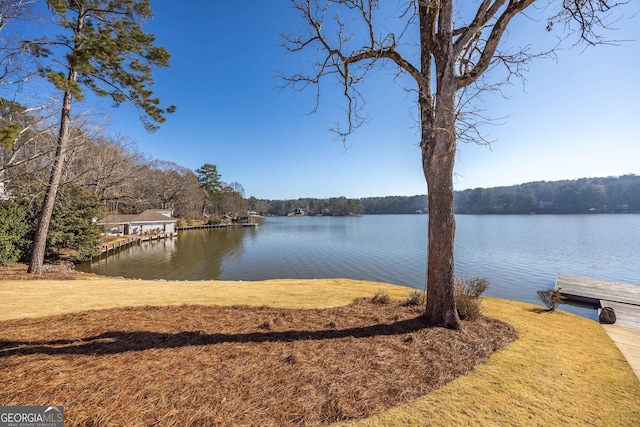 dock area with a water view