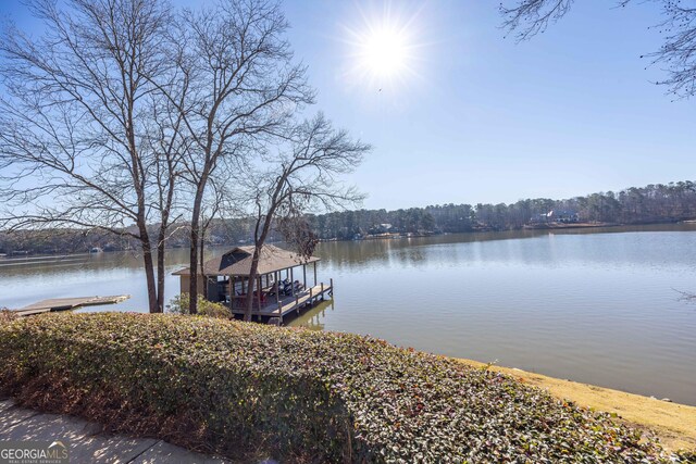 302 Odom Dr, Hamilton, GA 31811 - dock with a water view