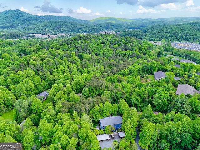 bird's eye view of a heavily wooded area and mountains