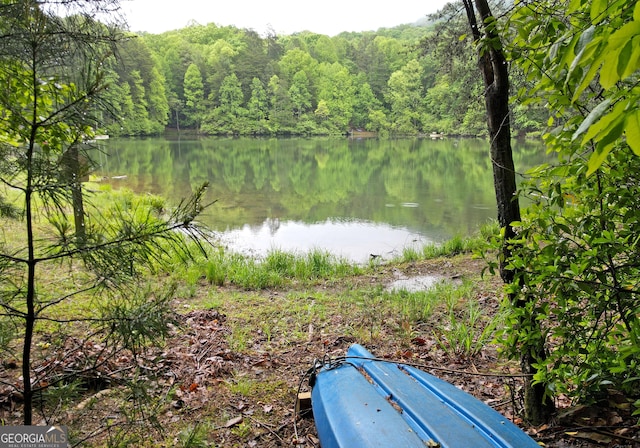 water view featuring a wooded view