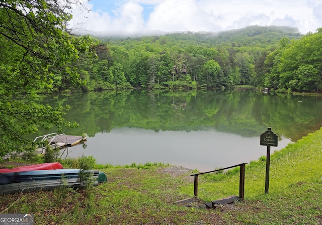 property view of water with a view of trees