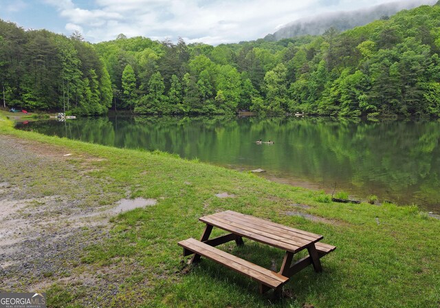 66 Pine Ridge Ct, Ellijay, GA 30536 - property view of water featuring a wooded view
