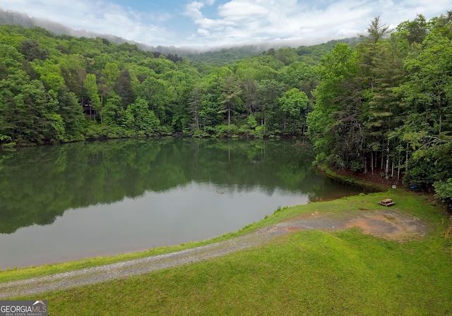 property view of water featuring a forest view