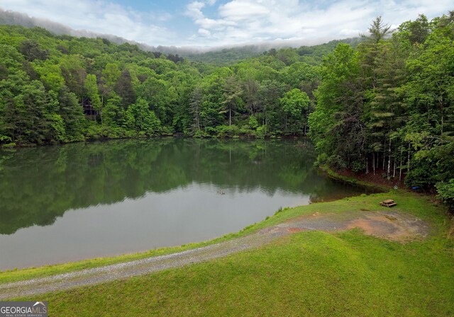 66 Pine Ridge Ct, Ellijay, GA 30536 - water view with a view of trees