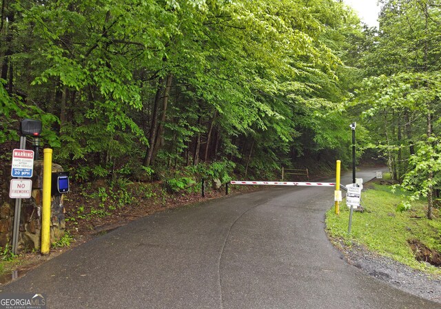 66 Pine Ridge Ct, Ellijay, GA 30536 - view of street with street lighting