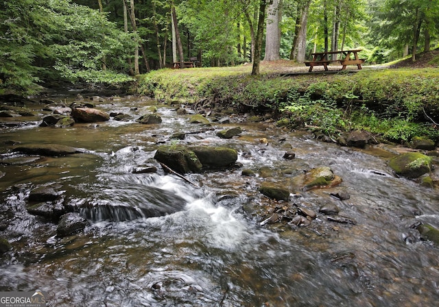 view of local wilderness featuring a view of trees
