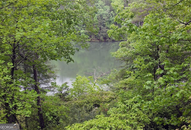 property view of water featuring a wooded view