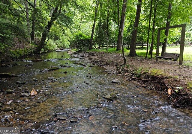 66 Pine Ridge Ct, Ellijay, GA 30536 - view of nature with a forest view
