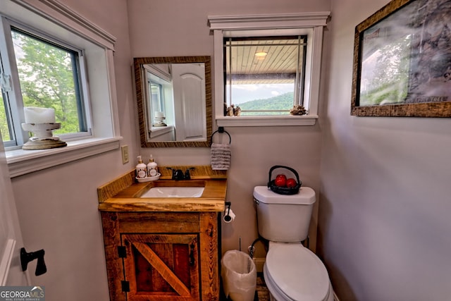 half bathroom featuring plenty of natural light, toilet, and vanity