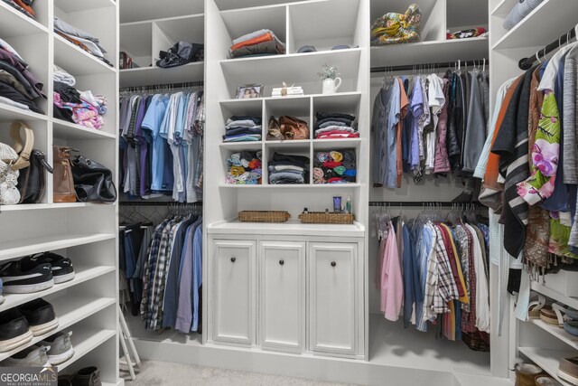 112 Pebblebrooke Run, Canton, GA 30115 - view of walk in closet