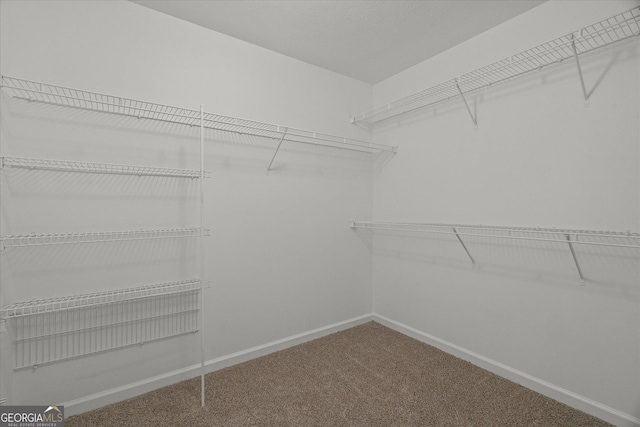 walk in closet with carpet