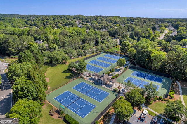 3641 Carriage Glen Way, Dacula, GA 30019 - bird's eye view of a forest