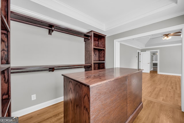 3641 Carriage Glen Way, Dacula, GA 30019 - walk in closet featuring light wood-type flooring, a ceiling fan, a dry bar, and a raised ceiling