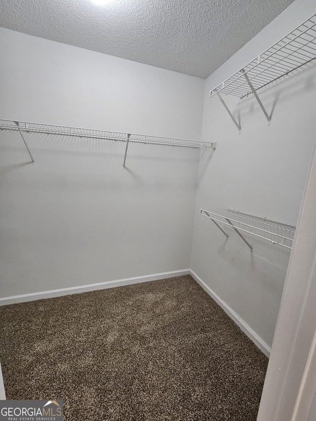 spacious closet featuring carpet floors