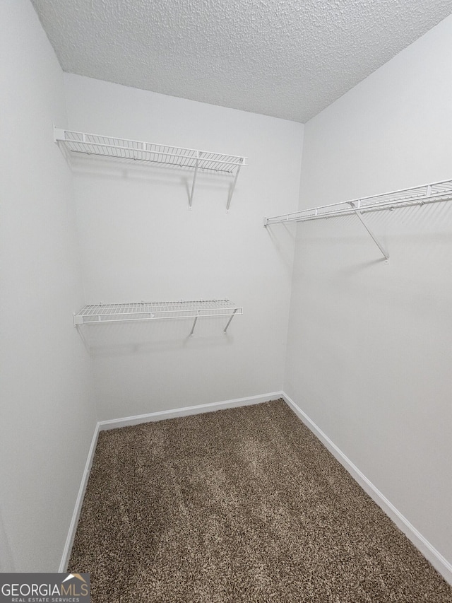 spacious closet featuring carpet floors
