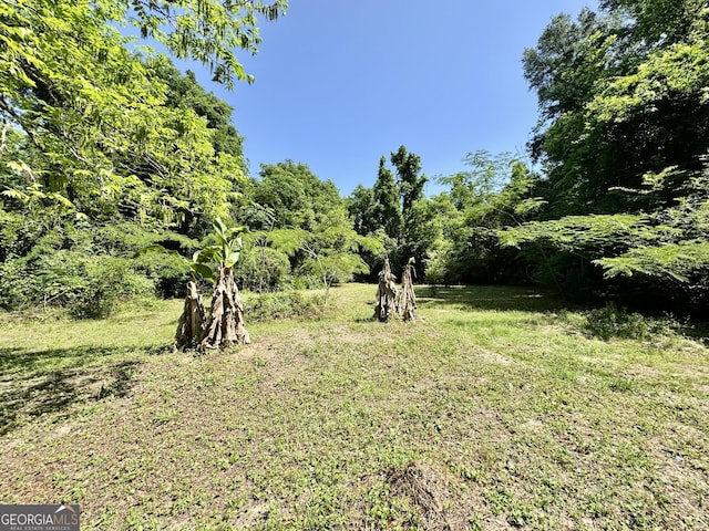 4365 US Highway 341, Jesup, GA 31545 - view of yard with a forest view