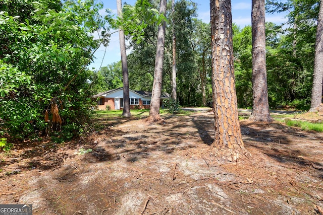 4365 US Highway 341, Jesup, GA 31545 - view of yard