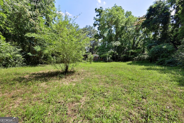 4365 US Highway 341, Jesup, GA 31545 - view of yard