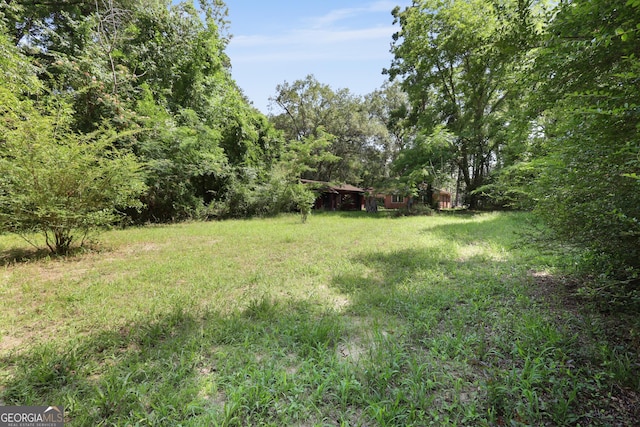 4365 US Highway 341, Jesup, GA 31545 - view of yard