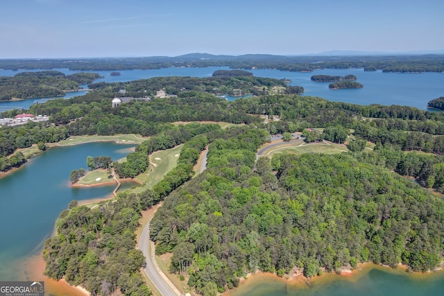 5587 Spring St, Flowery Branch, GA 30542 - aerial view of a large body of water