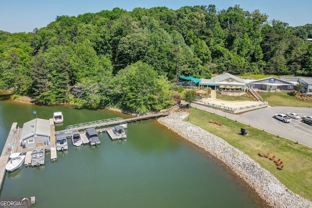 5587 Spring St, Flowery Branch, GA 30542 - bird's eye view of a heavily wooded area and a large body of water