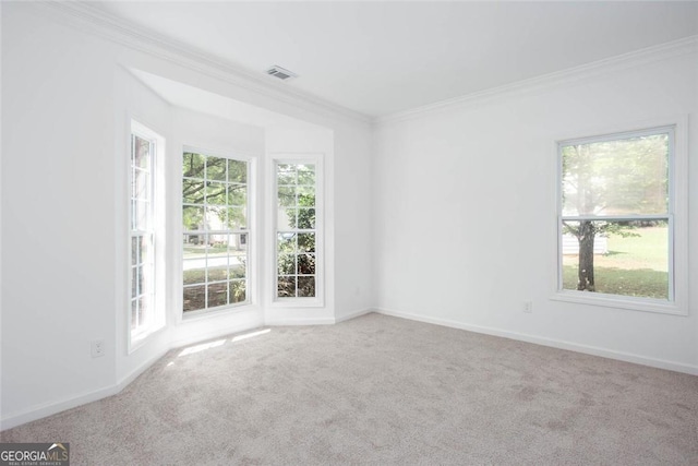 3314 Dilmus Dr, Powder Springs, GA 30127 - carpeted spare room with crown molding, plenty of natural light, and baseboards