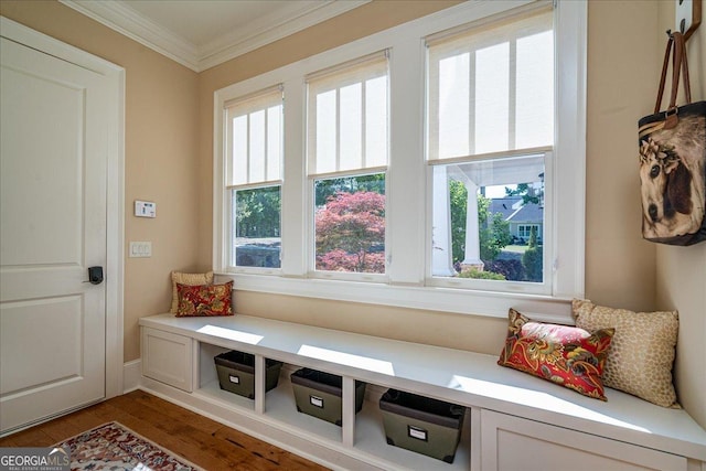 mudroom featuring ornamental molding and wood finished floors