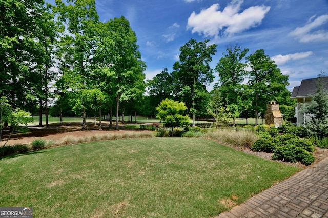 view of yard