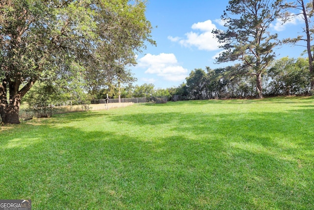 view of yard