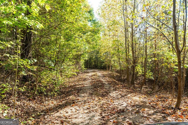 0 Vinson Mountain Rd, Rockmart, GA 30153 - view of road featuring a wooded view