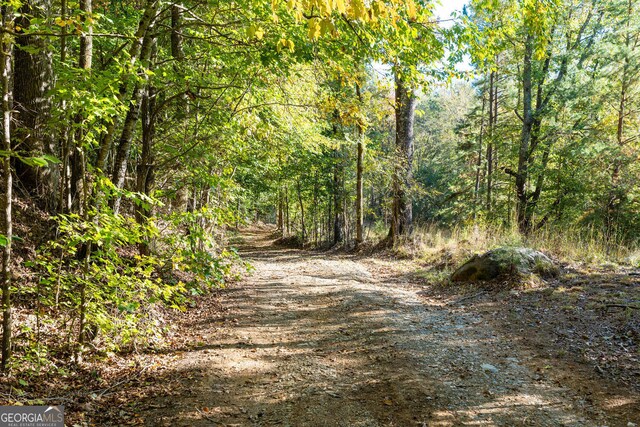 0 Vinson Mountain Rd, Rockmart, GA 30153 - view of road with a forest view