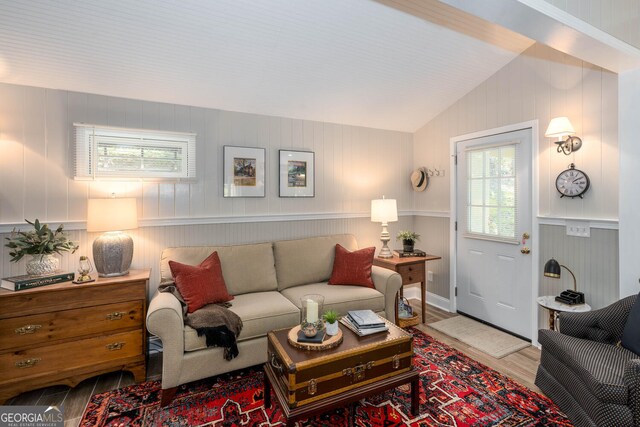0 Vinson Mountain Rd, Rockmart, GA 30153 - living room featuring plenty of natural light, vaulted ceiling, and wood finished floors