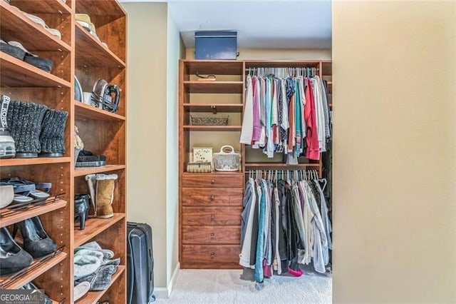walk in closet with carpet flooring