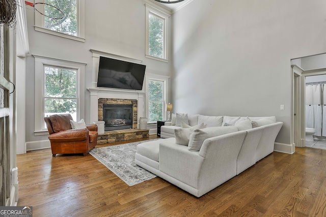 255 Ashmere Ct, Tyrone, GA 30290 - living area featuring a high ceiling, a fireplace, wood finished floors, and healthy amount of natural light