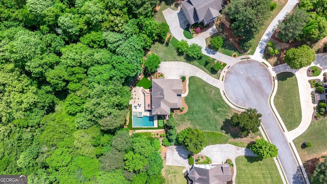 bird's eye view