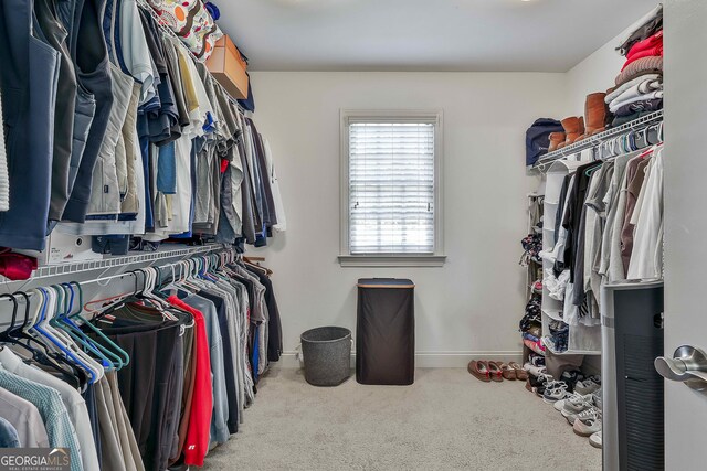 255 Ashmere Ct, Tyrone, GA 30290 - walk in closet featuring carpet flooring