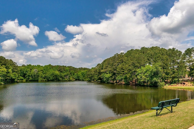 property view of water with a wooded view