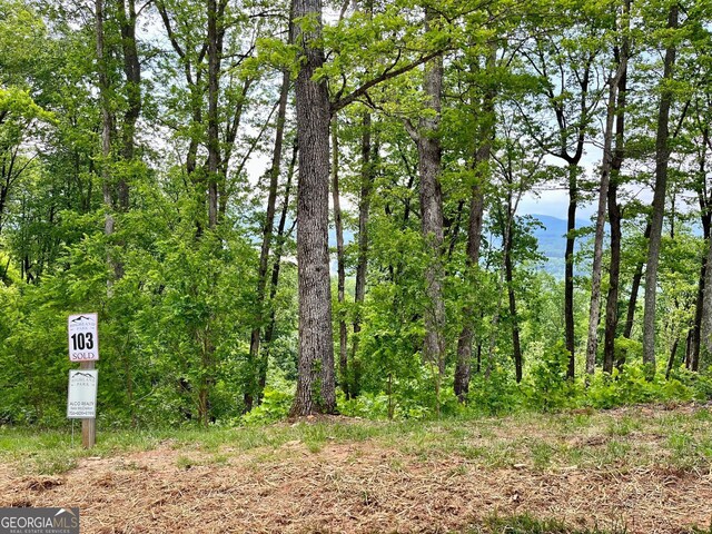 LOT103 Highland Park, Blairsville, GA 30512