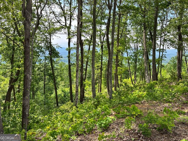 LOT103 Highland Park, Blairsville, GA 30512