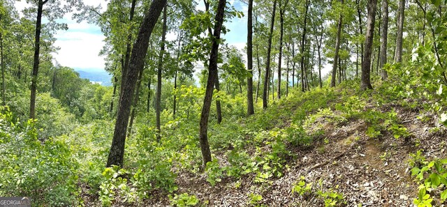 LOT103 Highland Park, Blairsville, GA 30512