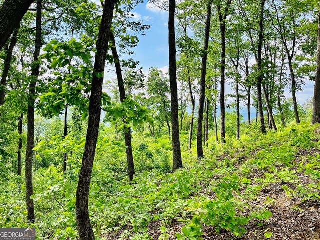 LOT103 Highland Park, Blairsville, GA 30512