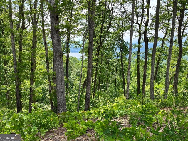 LOT103 Highland Park, Blairsville, GA 30512