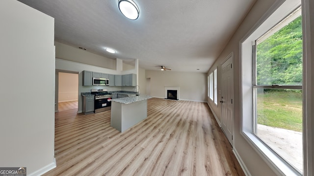 1229 Huntington Place Cir, Lithonia, GA 30058 - kitchen with a fireplace, open floor plan, appliances with stainless steel finishes, a wealth of natural light, and gray cabinetry